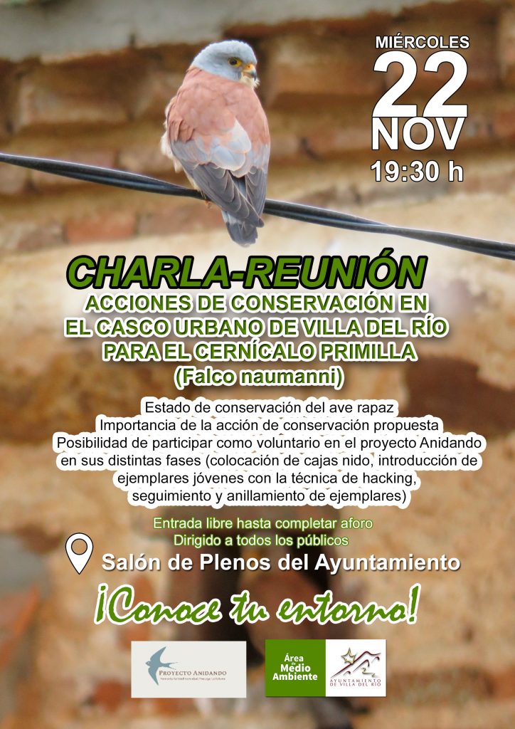Charla-reunión sobre la conservación del cernícalo
