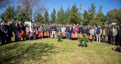 LA DIPUTACIÓN DE CÓRDOBA ENTREGA LOTES DE SEMILLAS A LOS AGRICULTORES DE VILLA DEL RÍO LA DIPUTACIÓN DE CÓRDOBA ENTREGA LOTES DE SEMILLAS A LOS AGRICULTORES DE VILLA DEL RÍO