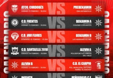 CALENDARIO DE PARTIDOS DEL VILLA DEL RÍO S.D.DEPORTES