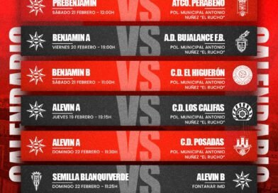 CALENDARIO DE PARTIDOS DEL VILLA DEL RÍO S.D.
