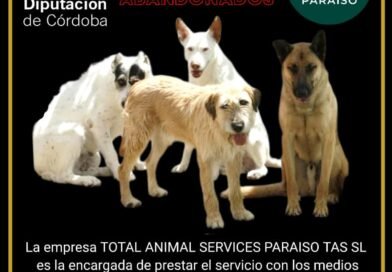SERVICIO PROVINCIAL DE RECOGIDA DE PERROS ABANDONADOS