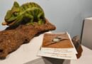 EL VILLARRENSE RAFAEL POLO MELENDO INAUGURA LA EXPOSICIÓN “BARRO Y ALMA” EN EL MUSEO HISTÓRICO MUNICIPAL “CASA DE LAS CADENA