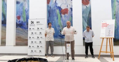 El Centro Botí de la Diputación acoge una muestra individual del artista granadino Álvaro Albaladejo