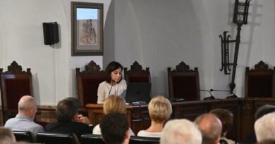 VILLA DEL RÍO PROFUNDIZA EN LOS ORÍGENES DE LA COFRADÍA DE NUESTRA SEÑORA DE LA ESTRELLA CORONADA CON UNA CONFERENCIA DE LA CRONISTA OFICIAL SALOMÉ SÁNCHEZ COLLADO CULTURA Y FESTEJOS | VILLA DEL RÍO PROFUNDIZA EN LOS ORÍGENES DE LA COFRADÍA DE NUESTRA SEÑORA DE LA ESTRELLA CORONADA CON UNA CONFERENCIA DE LA CRONISTA OFICIAL SALOMÉ SÁNCHEZ COLLADO